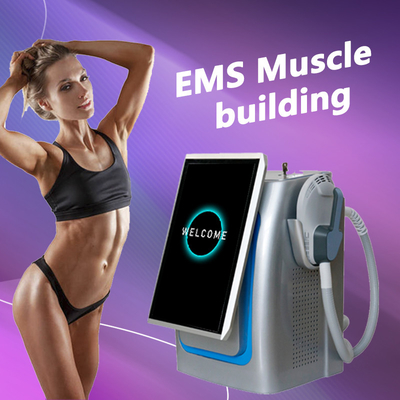 Potente máquina de escultura corporal EMS, estimulador muscular magnético pulsação 300us 5000w